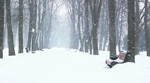 Winter park Stock Footage 20613678