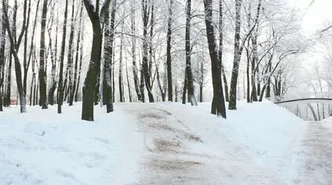 Winter park Stock Footage 20617651