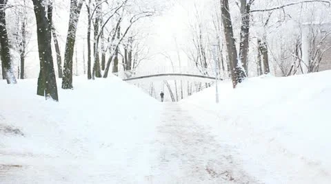 Winter park 動画素材 20617699