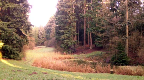 Winter in the park. Stock Footage 34366594