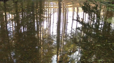 Winter in the park. Stock Footage 34683034