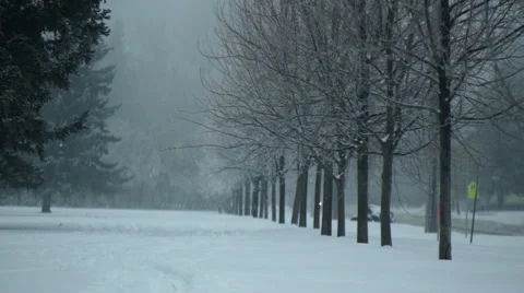 Winter in the Park Stock Footage 43350612