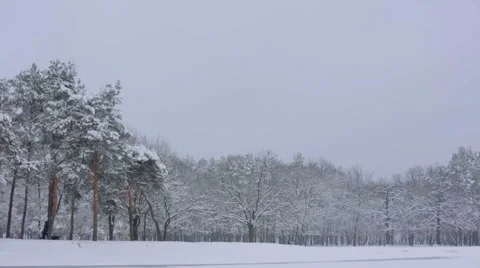 Winter park Video stock 46588787