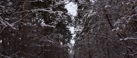 Winter park Video stock 63562554