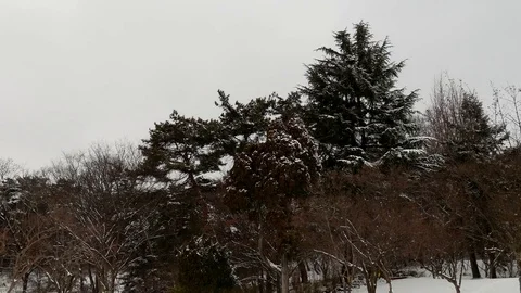 Winter Park: Stockbeeldmateriaal 80149535