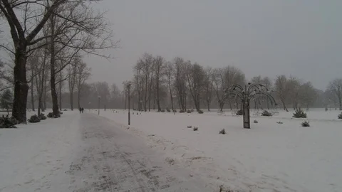 Winter park. Stock Footage 104662601