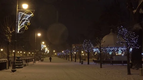 Winter park Stock Footage 122754624