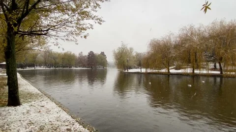 Winter in the park 库存影片 144110185