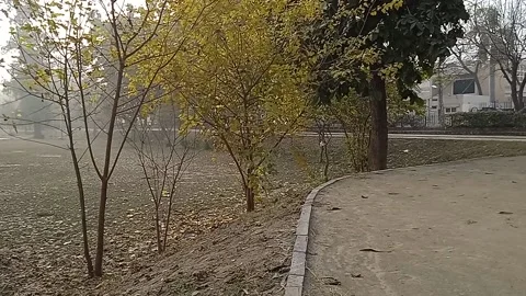 Winter park Stock Footage 146351796