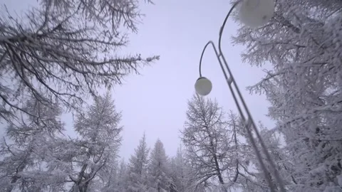 Winter park Stock Footage 169426412