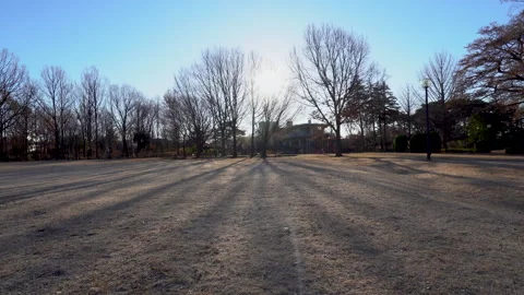 Winter park Stock Footage 259618368