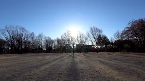 Winter park Video stock 259618407