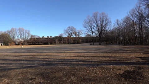 Winter park Video stock 259618461