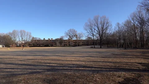 Winter park Video stock 259618712