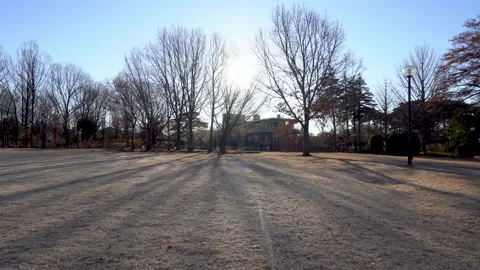 Winter park Video stock 259618800