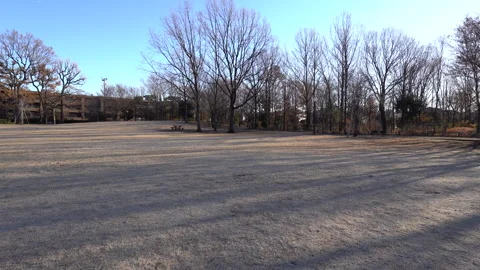 Winter park Video stock 259618870