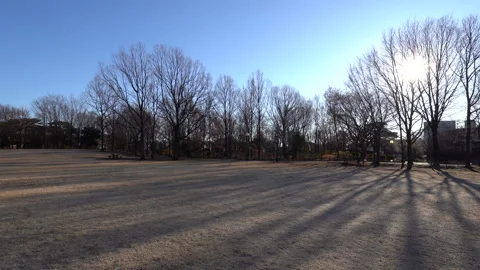 Winter park Video stock 259618999