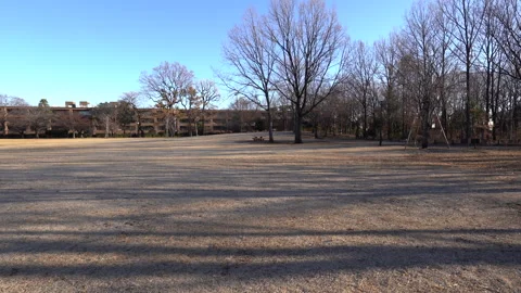 Winter park Video stock 259619006