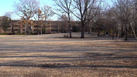 Winter park Video stock 259619227