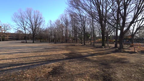 Winter park Video stock 259619247