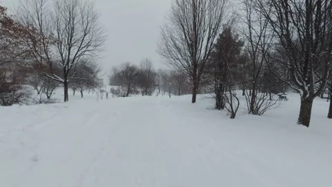 Winter Park Landscape Covered in Fresh Snow Stock Footage 323422804