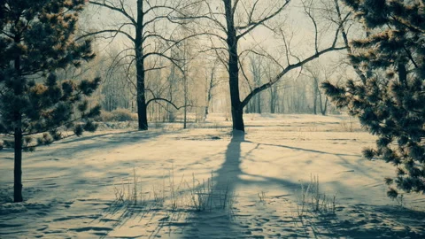 Winter Park landscape at dawn Stock Footage 96476458