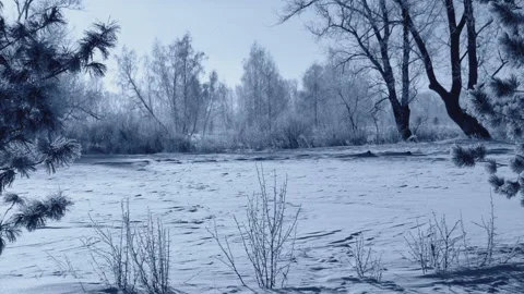 Winter Park landscape at dawn Stock Footage 96476897