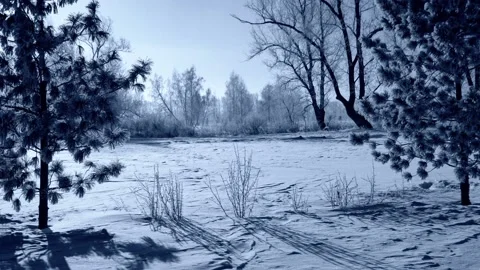 Winter Park landscape at dawn Stock Footage 97065036
