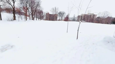 Winter Park Landscape With Snow Covered Trees Stock Footage 323338383