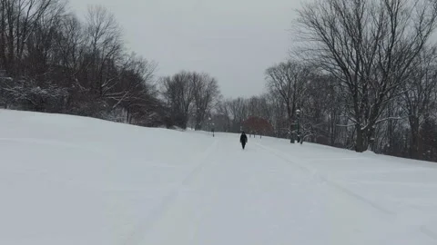 Winter Park Landscape With Soft Snowfall 스톡 동영상 323423315