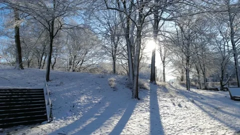 Winter park landscape with sun rays shining through trees, Hamburg city park Video stock 236993913