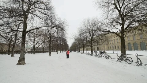 Winter in a park in Munich with tree lined walkway Stock Footage 120985392