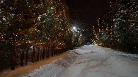 Winter park at night with christmas decorations, lights and trees. Stock Footage 169227717