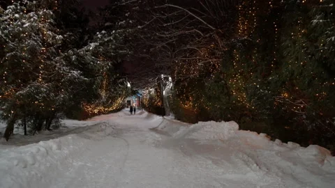 Winter park at night with christmas decorations, lights and trees. Stock Footage 169228143