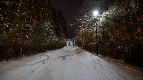 Winter park at night with christmas decorations, lights and trees. Stock Footage 169228792