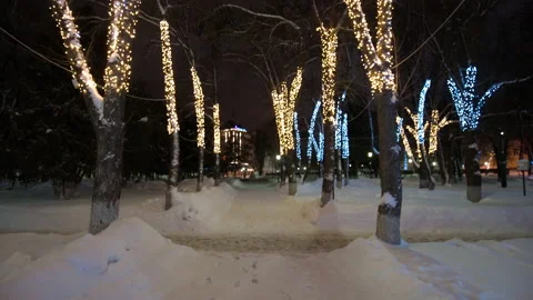 Winter park at night with decorations, glowing lanterns and trees. Stock Footage 169227057