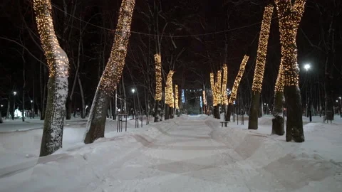Winter park at night with decorations, glowing lanterns and trees. Stock Footage 169228807