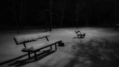 Winter park at night with decorations Stock Photos