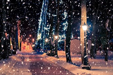 Winter park at night. Stock Photos