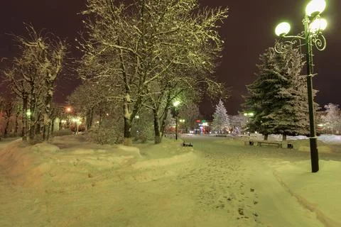 Winter park at night Stock Photos