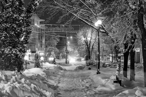 Winter park at night. Stock Photos