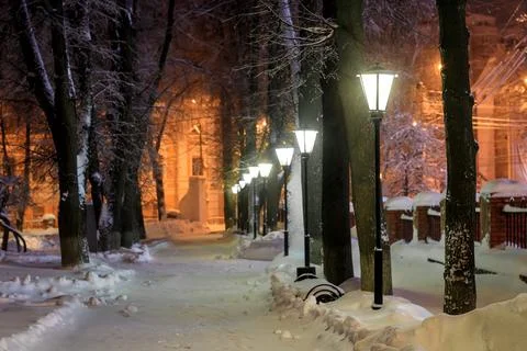 Winter park at night. Stock Photos