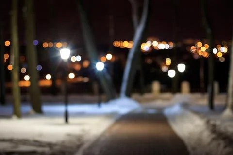 Winter park at night. Stock Photos