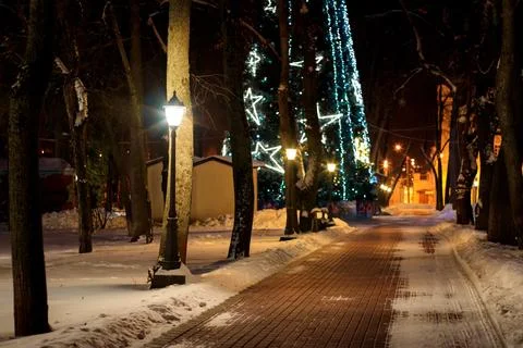 Winter park at night. Stock Photos
