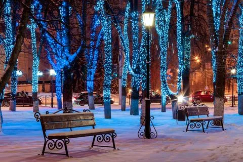 Winter park at night. Stock Photos