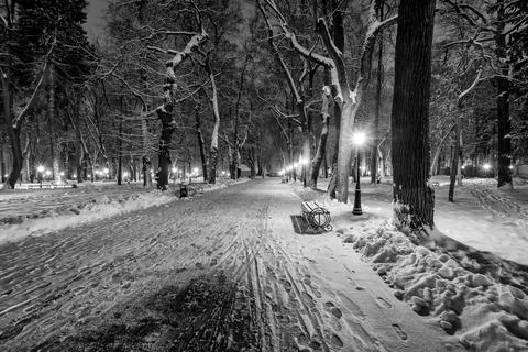 Winter park at night Stock Photos