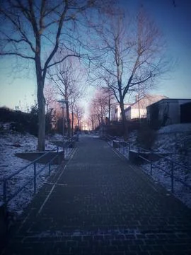 Winter Park at Night Foto stock