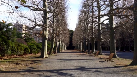 Winter park with nobody Stock Footage 145515265