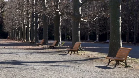 Winter park with nobody Stock Footage 145515637