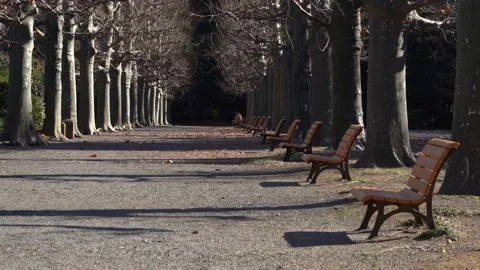 Winter park with nobody Stock Footage 145515983